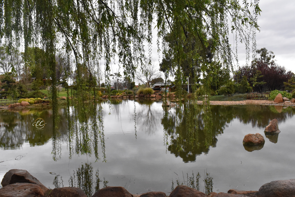 Dubbo Reginal Botanic Gardens Day 5 of our road trip to Dubbo